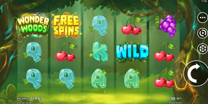 Wonder Woods slot Demo Game