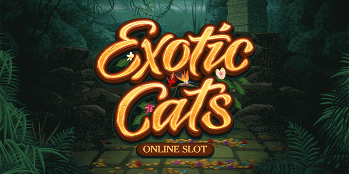 Exotic Cats slot from Microgaming