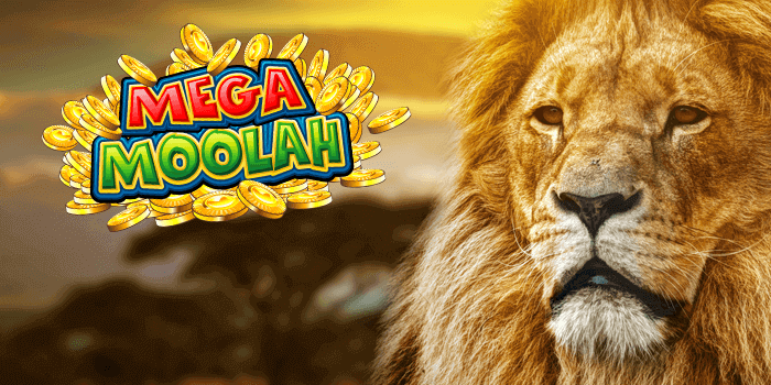 How to increase your chances of winning Mega Moolah